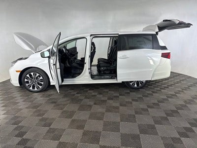 2026 Honda Odyssey Elite