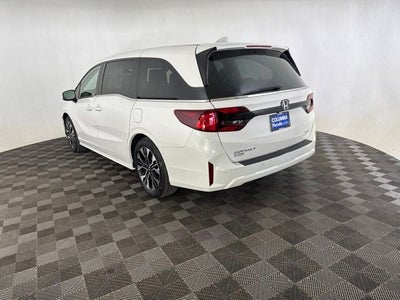 2026 Honda Odyssey Elite