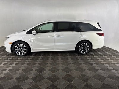 2026 Honda Odyssey Elite