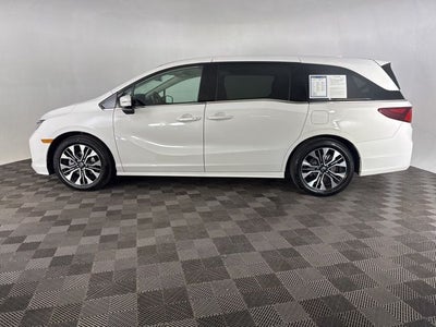 2026 Honda Odyssey Elite