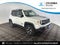 2019 Jeep Renegade Trailhawk