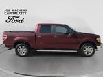 2010 Ford F-150 XLT