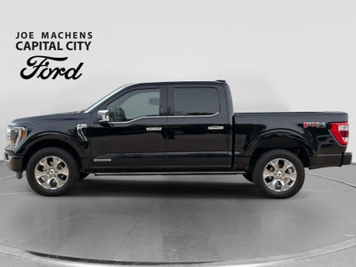 2023 Ford F-150 Platinum