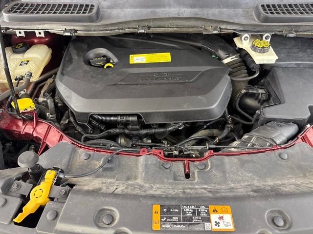 2013 Ford Escape SE