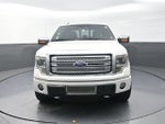 2013 Ford F-150 Platinum