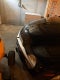 2004 Chevrolet SSR Base