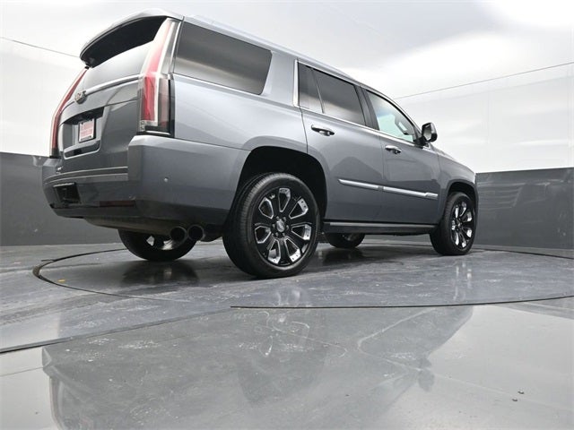 2019 Cadillac Escalade Platinum Edition
