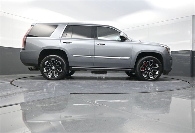 2019 Cadillac Escalade Platinum Edition