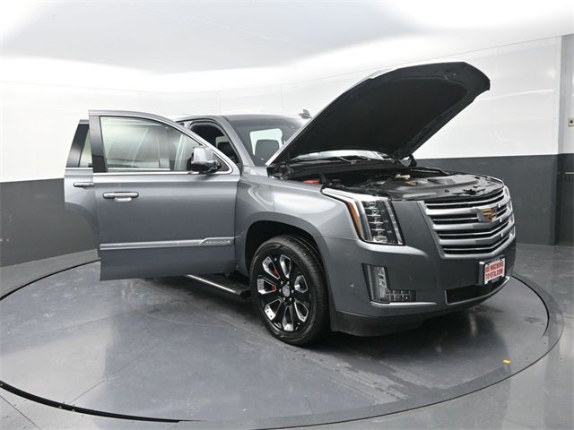 2019 Cadillac Escalade Platinum Edition