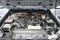 2024 Toyota Tacoma Hybrid TRD Sport