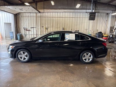 2023 Chevrolet Malibu LS 1LS