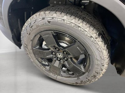 2026 Honda Ridgeline Black Edition