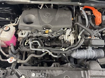 2021 Toyota Sienna XSE