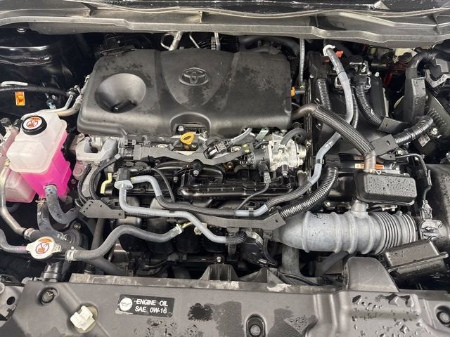 2025 Toyota Sienna LE