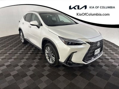 2023 Lexus NX NX 350 Luxury