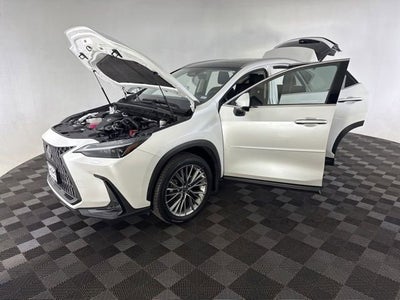 2023 Lexus NX NX 350 Luxury