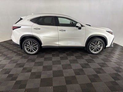 2023 Lexus NX NX 350 Luxury
