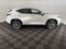 2023 Lexus NX NX 350 Luxury