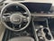 2025 Kia Carnival EX