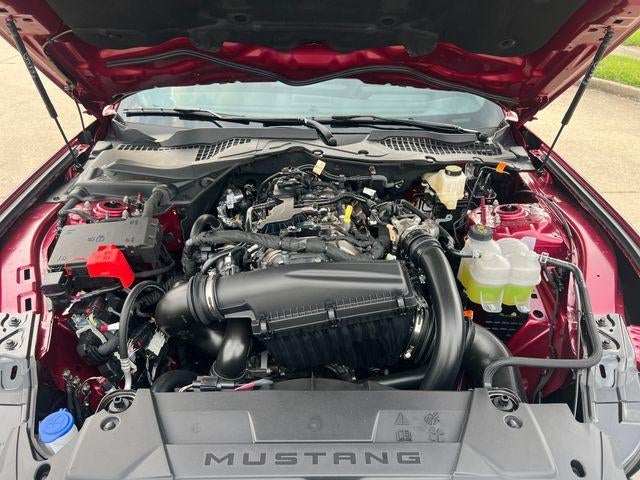 2026 Ford Mustang EcoBoost Premium Fastback