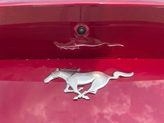 2026 Ford Mustang EcoBoost Premium Fastback