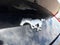 2024 Ford Mustang EcoBoost Premium Convertible