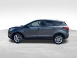 2019 Ford Escape SE 4WD