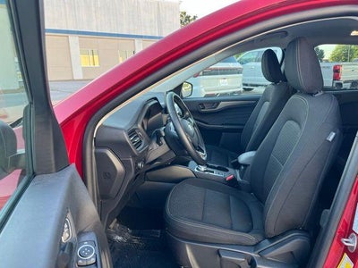 2025 Ford Escape Active AWD
