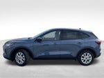 2026 Ford Escape Active AWD