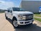 2019 Ford Super Duty F-250 SRW Platinum 4WD Crew Cab 6.75' Box