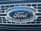 2019 Ford Super Duty F-250 SRW Platinum 4WD Crew Cab 6.75' Box