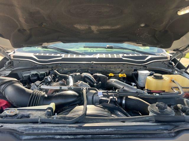 2019 Ford Super Duty F-250 SRW Platinum 4WD Crew Cab 6.75' Box