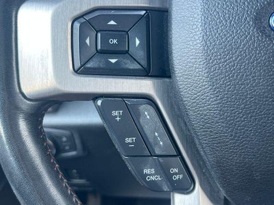 2019 Ford Super Duty F-250 SRW Platinum 4WD Crew Cab 6.75' Box