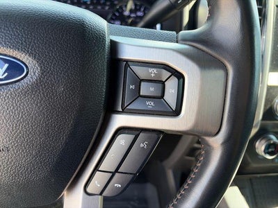 2020 Ford Super Duty F-250 SRW Platinum 4WD Crew Cab 6.75' Box