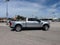 2020 Ford Super Duty F-250 SRW Platinum 4WD Crew Cab 6.75' Box