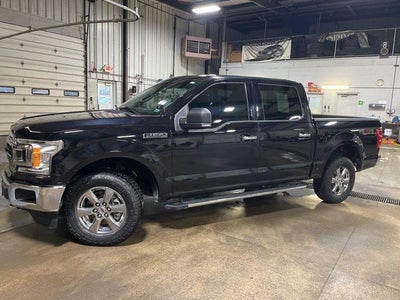 2020 Ford F-150 XLT 4WD SuperCrew 5.5' Box