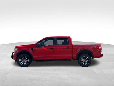 2023 Ford F-150 XL 4WD SuperCrew 5.5' Box