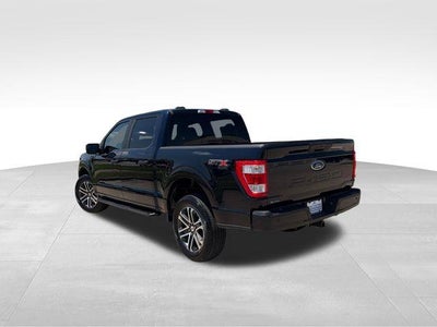 2023 Ford F-150 XL 4WD SuperCrew 5.5' Box