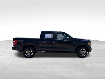 2023 Ford F-150 XL 4WD SuperCrew 5.5' Box