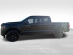 2026 Ford F-150 STX 4WD SuperCrew 5.5' Box