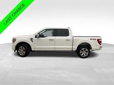 2021 Ford F-150 Platinum 4WD SuperCrew 5.5' Box