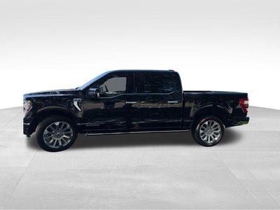 2023 Ford F-150 Limited 4WD SuperCrew 5.5' Box