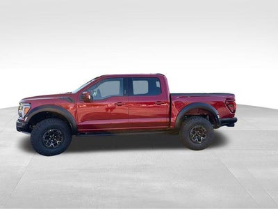 2026 Ford F-150 Raptor 4WD SuperCrew 5.5' Box