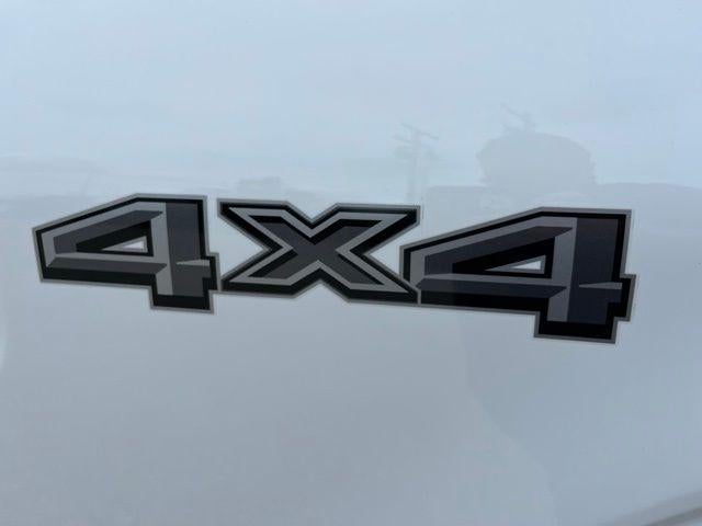 2024 Ford F-150 XL 4WD Reg Cab 8' Box