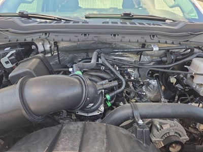 2024 Ford Super Duty F-250 SRW XL 4WD Reg Cab 8' Box