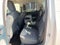 2024 Ford Maverick XLT FWD SuperCrew