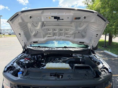 2024 Ford F-150 STX 4WD SuperCrew 5.5' Box