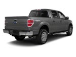 2011 Ford F-150 4WD SuperCrew 5-1/2 Ft Box Harley-Davidson
