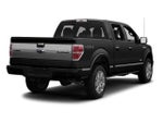 2013 Ford F-150 4WD SuperCrew 5-1/2 Ft Box Platinum