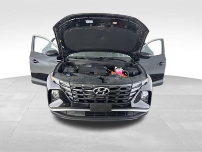 2023 Hyundai Tucson Hybrid Blue AWD